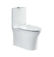 Parryware EWC with Seat Cover and Flush Omega Floor_0