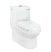 Parryware EWC with Seat Cover and Flush Aquiline Floor_0