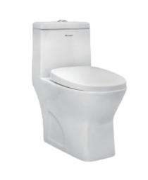 Parryware EWC with Seat Cover and Flush Verve AM Floor_0