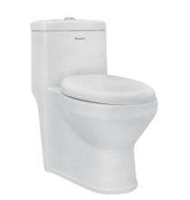 Parryware EWC with Seat Cover and Flush Marvel Floor_0