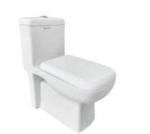 Parryware EWC with Seat Cover and Flush Prime Floor_0