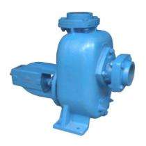 Motor Sewage Pumps 30 m_0