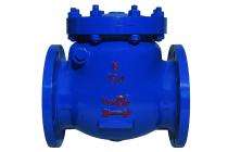 Automatic CS Check Valves 50 mm_0