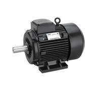 Silver Electra Series 1500 rpm Single Phase 0.75 hp Four Pole Foot Mounted AC Motors_0