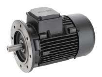 Silver Electra Series 1500 rpm Single Phase 0.75 hp Four Pole Flange Mounted AC Motors_0