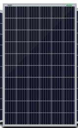 WAAREE 250 W 60 Cell Monocrystalline Solar Panel_0