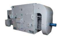 Kirloskar Megapack Wound 3000 rpm Three Phase 3 hp Double Pole Foot Mounted AC Motors_0