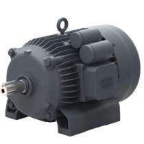 Lubi MMS 1440 rpm Single Phase 0.5 hp Four Pole Foot Mounted AC Motors_0