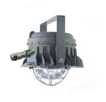 ELFS 61 Aluminium Pendant Mounted 160 W Pure White Flameproof LED Luminaries_0