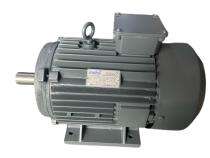 Mohil MEF012.503 1440 rpm Three Phase 12.5 hp Four Pole Foot Mounted AC Motors_0