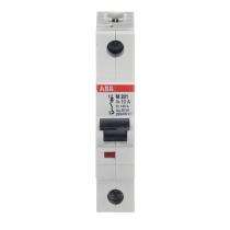 ABB SM200M Single Pole 10 A C MCB_0