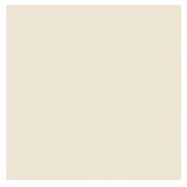 SOMANY Polished Marble Tiles_0