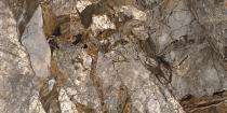 Belso The Ultima 800 x 1600 mm Breccia Bronze Premium Polished Vitrified Tile_0