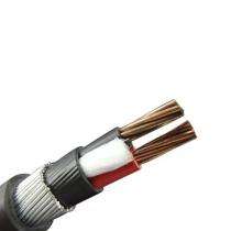 ELOVENE Copper XLPE Unarmoured FRLS PVC LT Power Cables 2 Core 10 sqmm 1.1 kV_0