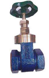 PARKO 50 mm Manual Gun Metal Gate Valves Threaded GV50_0