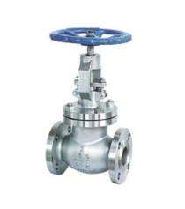 CS Globe Valves 100 mm_0