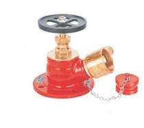 KARTAR Bronze Single Outlet Hydrant Valves_0