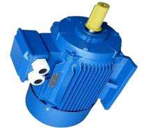 Kirloskar YE2 1440 rpm Three Phase 0.5 hp Four Pole Foot Mounted AC Motors_0