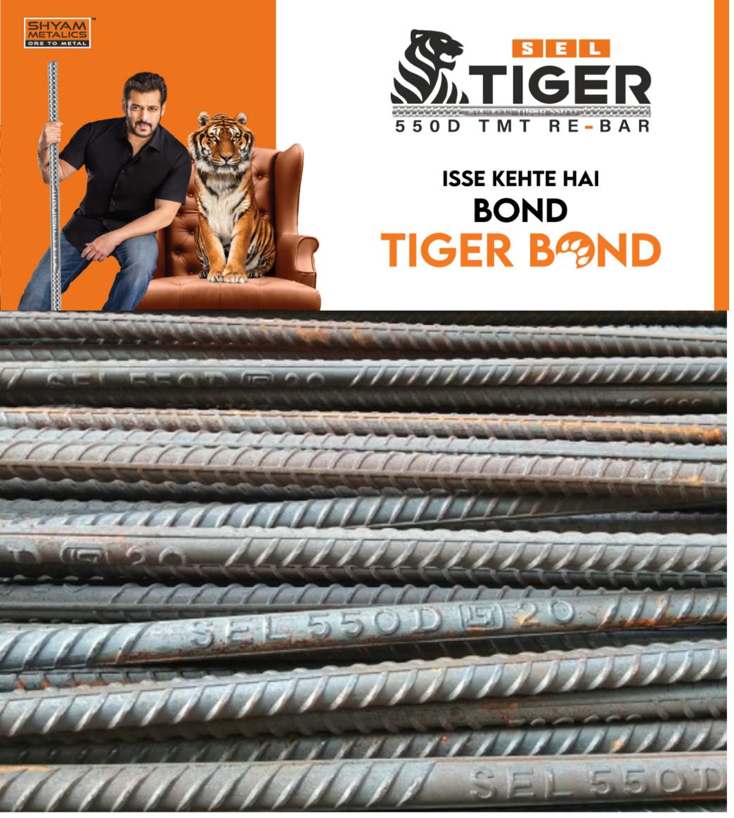 SEL TIGER 10 mm Fe 550D TMT Bars 12 m IS 1786_1