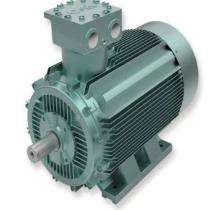 Marathon ACM-2 1500 rpm Three Phase 1 hp Four Pole Foot Mounted AC Motors_0