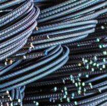 PREMIER 10 mm Fe 500D TMT Bars 6 m IS 1786:2008_0