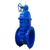 Cair Manual DI Gate Valves 100 mm_0