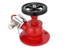 ARMORFIRE Stainless Steel Flanged Hydrant Valves_0