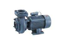 V-LUX VLXMB2-1550-SP 1.5 hp 2880 rpm Monoblock Pumps_0