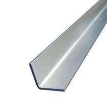Shree Vishwakarma 100 x 100 mm Equal MS Angles 10 mm E300 BR 12 m_0