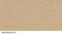 Ambani Amazon Beige 60 x 60 cm Beige Full Polished Vitrified Tile_0