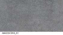 Ambani Amazon Gris 60 x 60 cm Grey Full Polished Vitrified Tile_0