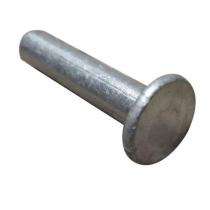 Flathead Rivet 6 x 12 mm Galvanized Iron_0