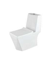 Ambani EWC with Seat Cover and Flush 8001 Floor_0