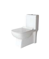 Ambani EWC with Seat Cover and Flush 9012 Floor_0