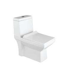 Ambani EWC with Seat Cover and Flush 4001 Floor_0