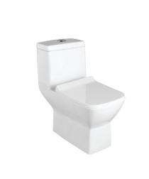 Ambani EWC with Seat Cover and Flush 5001 Floor_0