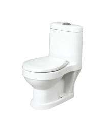 Ambani EWC with Seat Cover and Flush 2110 Floor_0