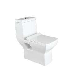 Ambani EWC with Seat Cover and Flush 6001 Floor_0