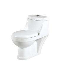 Ambani EWC with Seat Cover and Flush 2006 Floor_0