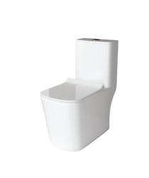 Ambani EWC with Seat Cover and Flush 9006 Floor_0