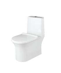 Ambani EWC with Seat Cover and Flush 9001 Floor_0