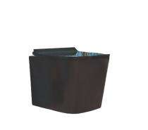 Ambani EWC with Seat Cover and Flush Tango Black Floor_0