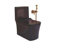 Ambani EWC with Seat Cover and Flush 7001 Black Floor_0