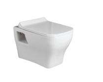 Ambani EWC with Seat Cover and Flush Bravo Wall Hung_0