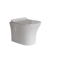 Ambani EWC with Seat Cover and Flush Asens Wall Hung_0