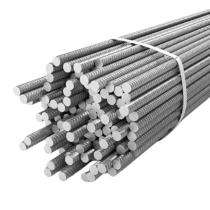 Amba Shakti 10 mm Fe 500 TMT Bars 12 m ISO 14001:2015_0