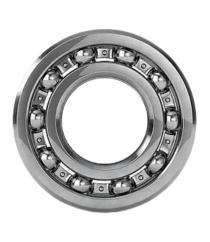 FAG 16006 Ball Bearings Carbon Steel_0