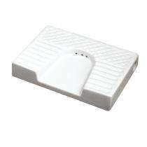 Ambani Thrift Pan Toilet Seat Squatting Ceramic_0