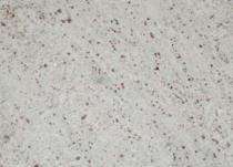Mahashakti 20 mm Amba White Polished Granite Tiles 60 x 30 cm_0