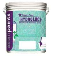 Asian Paints Penetrative-cum-film Forming Waterproofing Chemical in Litre_0